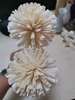 Eco-friendly Craft Diffuser Sola Flowers with Cotton Wick