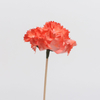 Natural Pink Diffuser Sola Flowers for Home