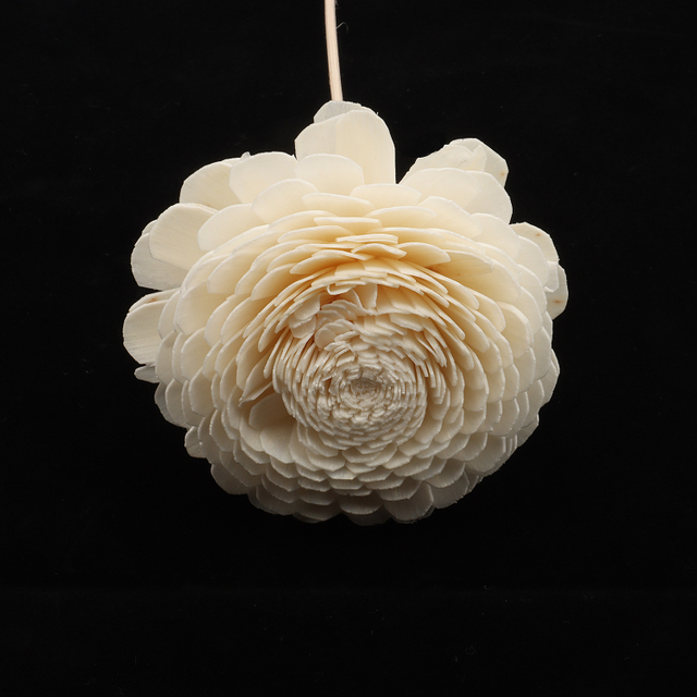 Dried Aromatherapy Diffuser Sola Flowers With Customized Boxes