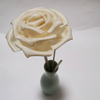 Decorative Dried Diffuser Sola Flowers With Cotton String