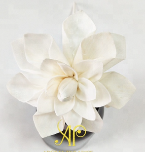 Elegant Natural White Diffuser Sola Flowers