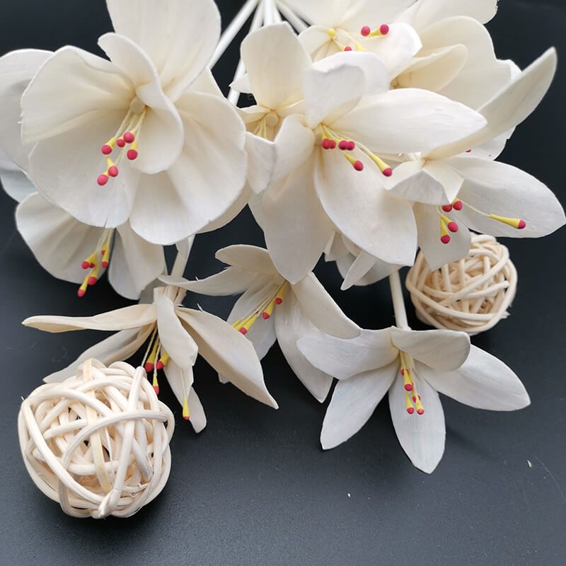 Dried Natural Diffuser Sola Flowers for Perfume