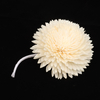 100% Handmade Natural White Colored Rattan Reed Diffuser Dried Rose Sola Wood Flowers for Decoration