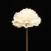 100% Handmade Natural White Colored Rattan Reed Diffuser Dried Rose Sola Wood Flowers for Decoration