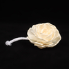 Elegant Rose Diffuser Sola Flowers for Decoration