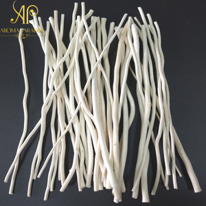 No Flame Diffuser Accessories Natural Plant Bleached Dried Wicker Branches Willow Sticks