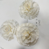 Customized Handmade Diffuser Sola Flowers for Home