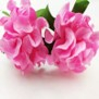 Natural Pink Diffuser Sola Flowers for Home