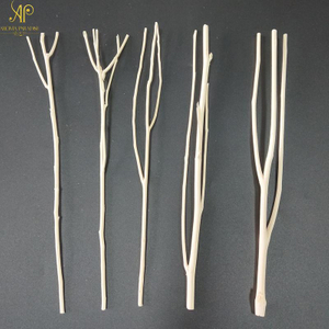 Rattan Aromatherapy Elm Branch Wicker Plant Dried Flower Willow Branches