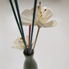 High Quality Aroma Diffuser Sola Flowers for Decoration