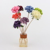 Natural Pink Diffuser Sola Flowers for Home